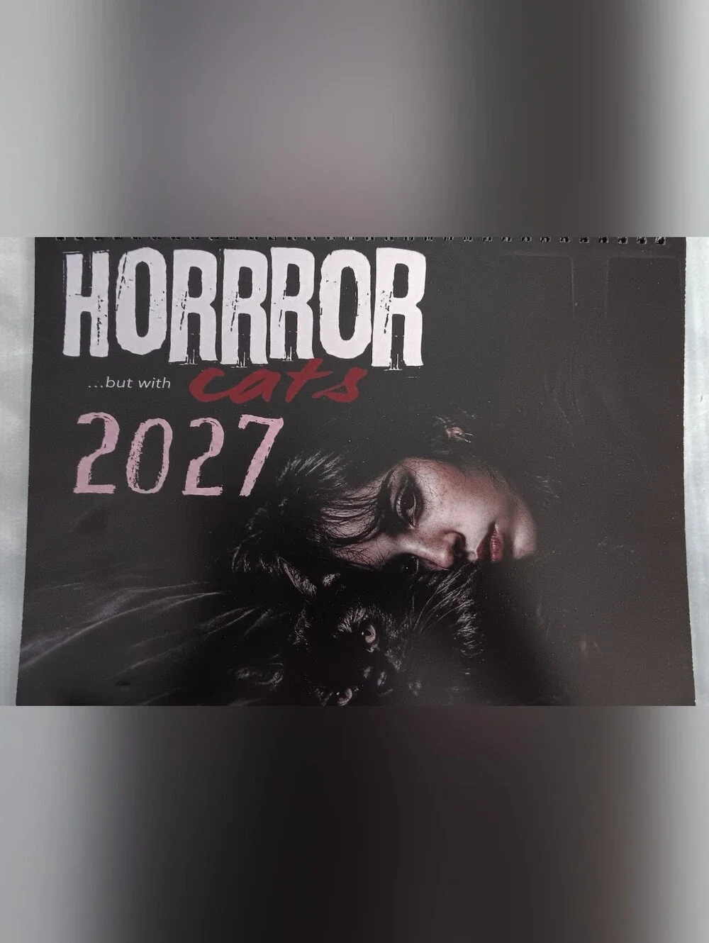 2027 Wall Calendar (NEW)
